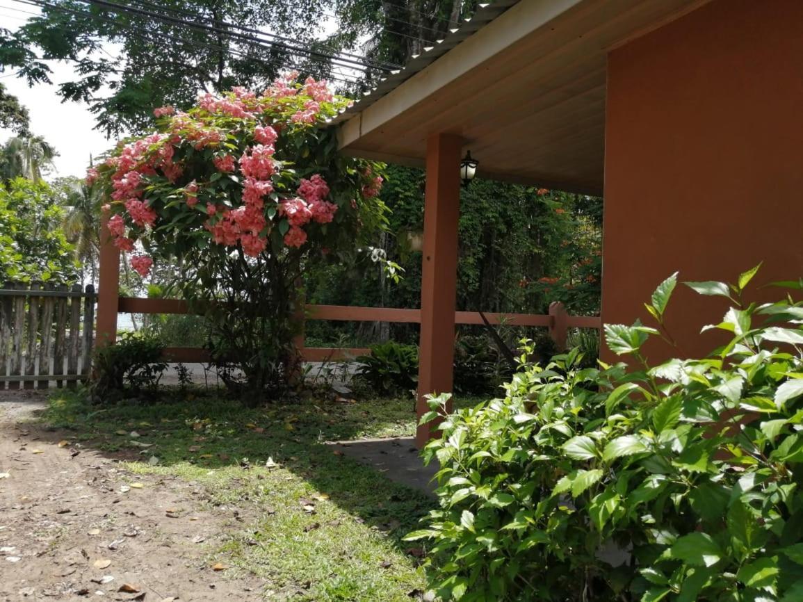 Cahuita Lodge Eksteriør billede