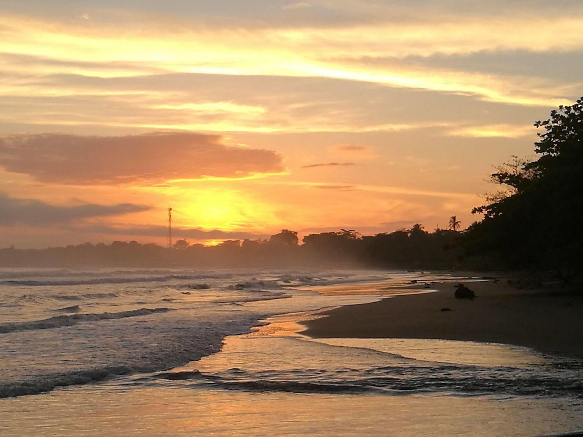 Cahuita Lodge Eksteriør billede
